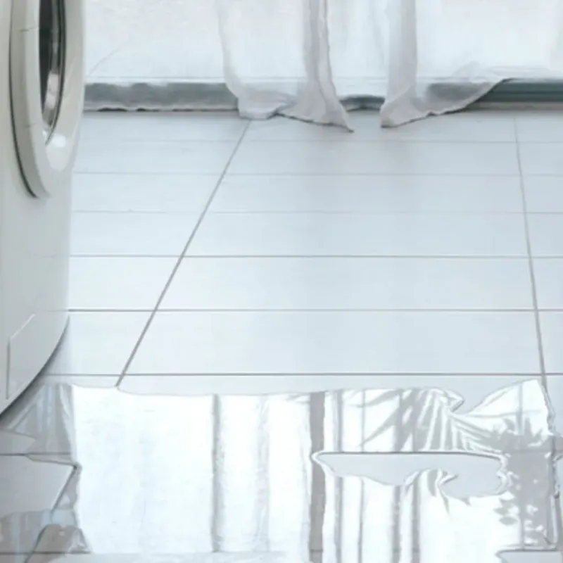 Appliance Leak Cleanup in Roosevelt County, MT