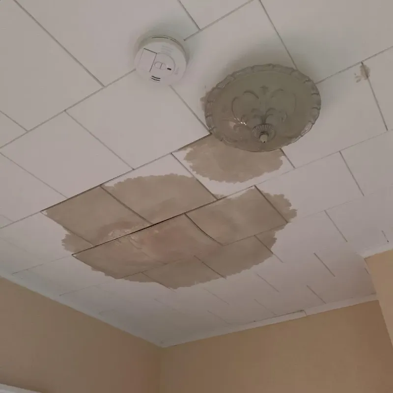 Ceiling Water Damage Repair in Roosevelt County, MT