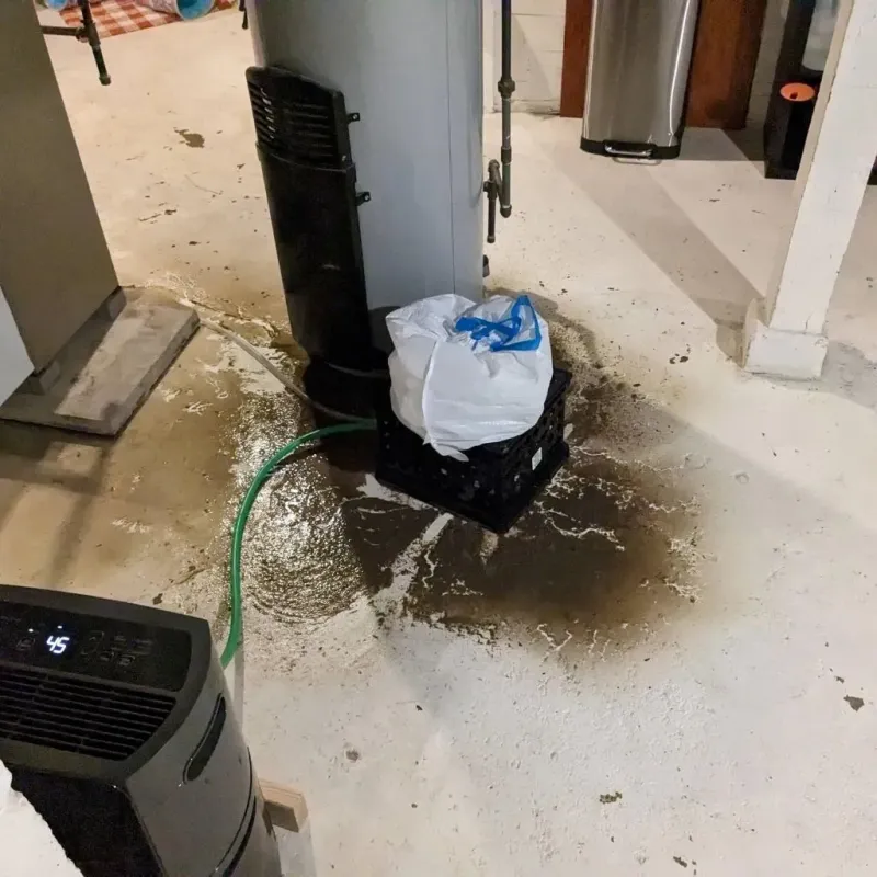 Sewage Backup Cleanup Service in Roosevelt County, MT